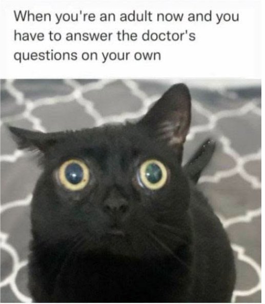 dr  caturday majorgeeks.jpg